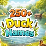 250+ Duck Names For Mallards Pekins And Backyard Ponds