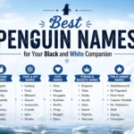 Best Penguin Names for Your Black and White Companion