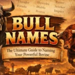 Bull Names The Ultimate Guide to Naming Your Powerful Bovine