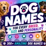 Dog Names For Every Breed Size And Personality